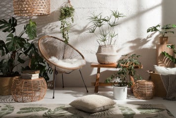 Urban Jungle